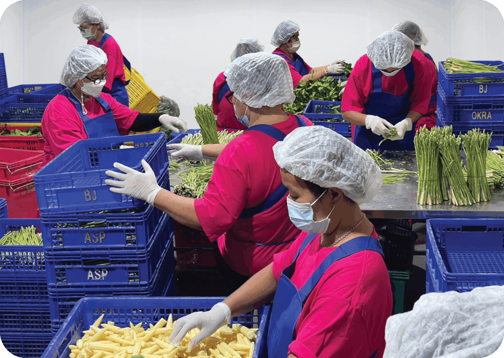 Blue Jay export packing staff on-site